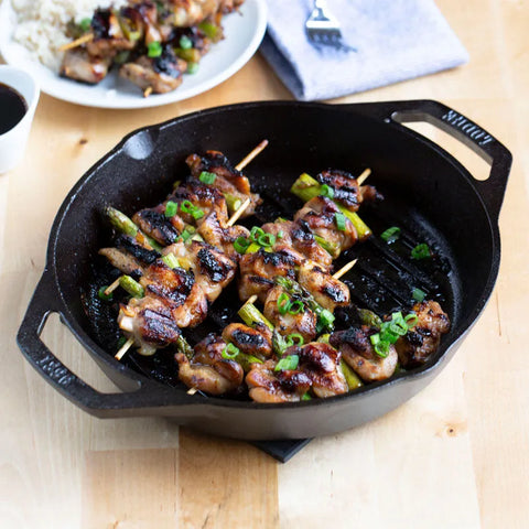 Dual Handle Cast Iron Grill Pan